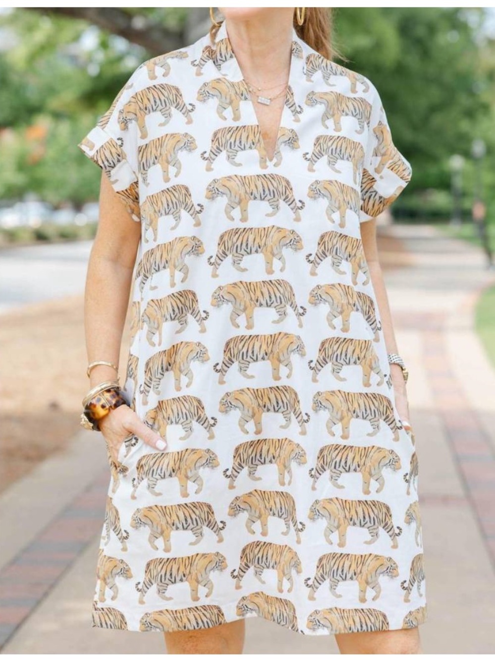 Brooke Wright Nancy Dress Tiger Print Collection Size Large EUC